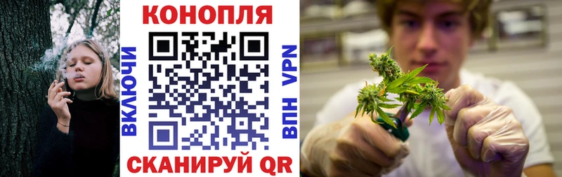 Купить Cocaine Галлюциногенные грибы Гашиш Меф Alpha-PVP Кадников