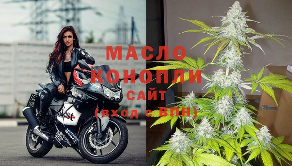 винт Дмитриев