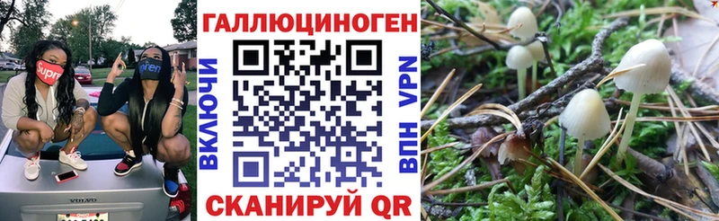 Галлюциногенные грибы прущие грибы  Купить где  Кадников 